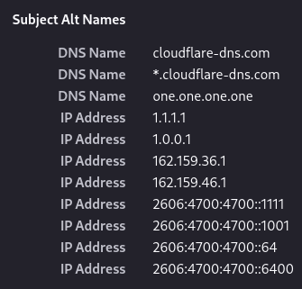 Alternatives names on Cloudflare's 1.1.1.1 certificate