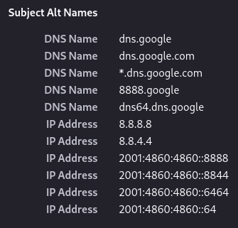 Alternative names on Google's 8.8.8.8 certificate